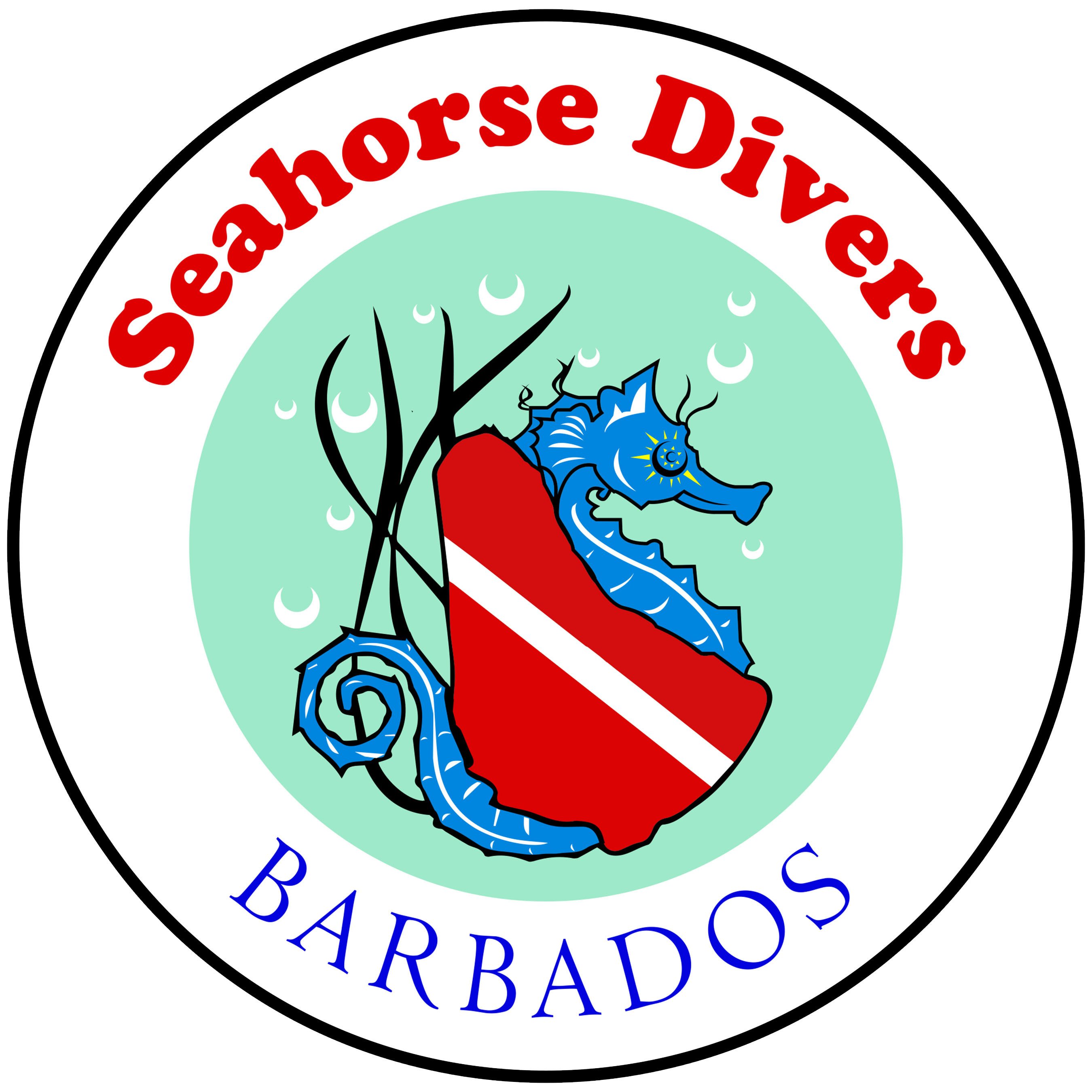 Seahorse Divers Christ Church Dive In Barbados