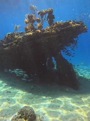 GOPR2204.JPG
