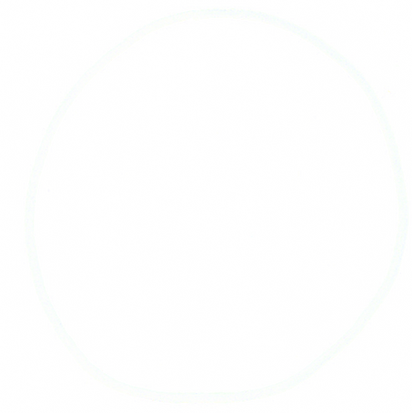 circle1.png