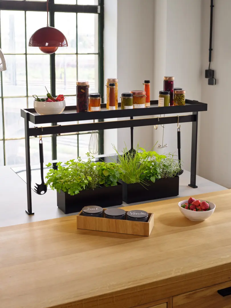 biophilic kitchen ideas showing natural wood surfaces, indoor plants, and nature-inspired design details.