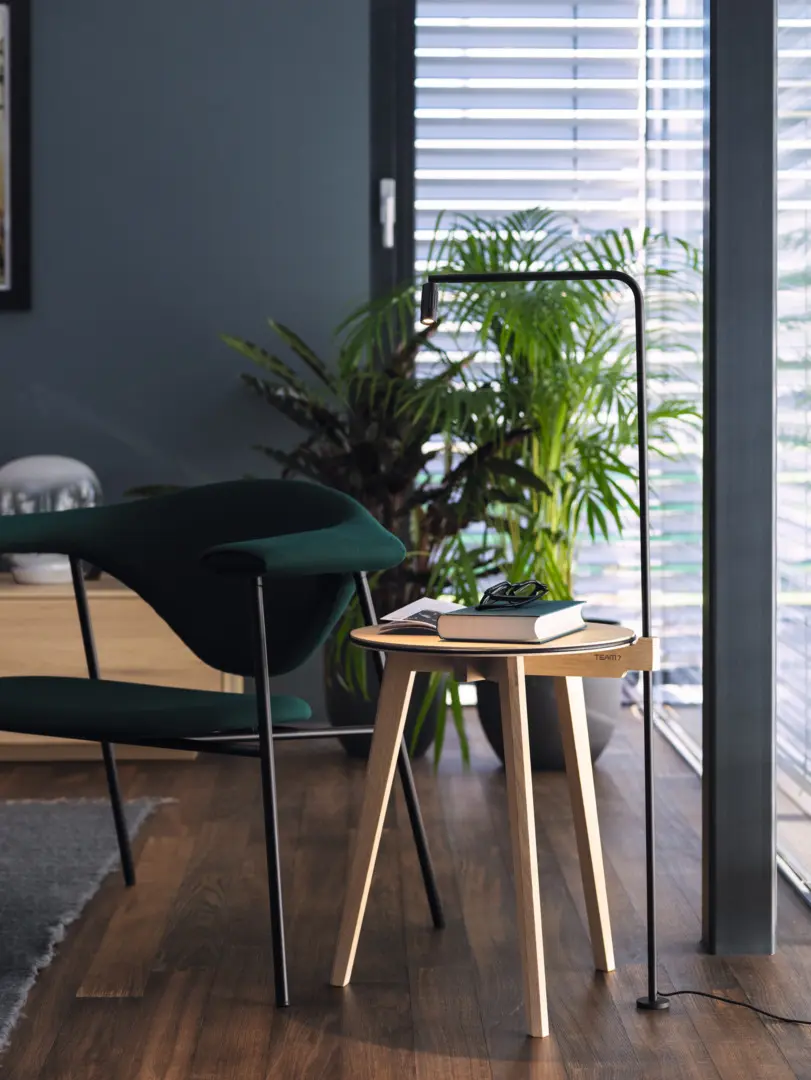 Biophilic Living Rooms  Inspiration