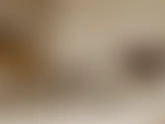 The Table That Grows with You: Inside TEAM 7’s Extendable Solid Wood Dining Tables