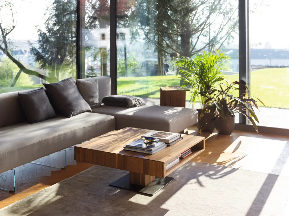 Biophilic Living Room Inspiration