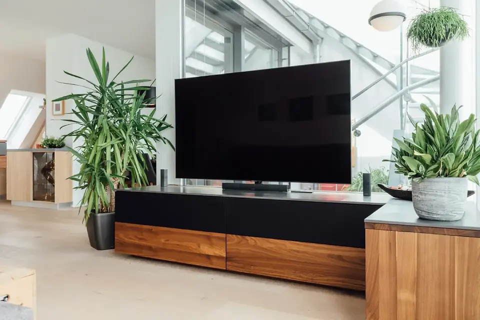 Biophilic Living Rooms  Inspiration