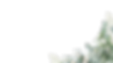 1_edited.png