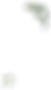 2_edited.png