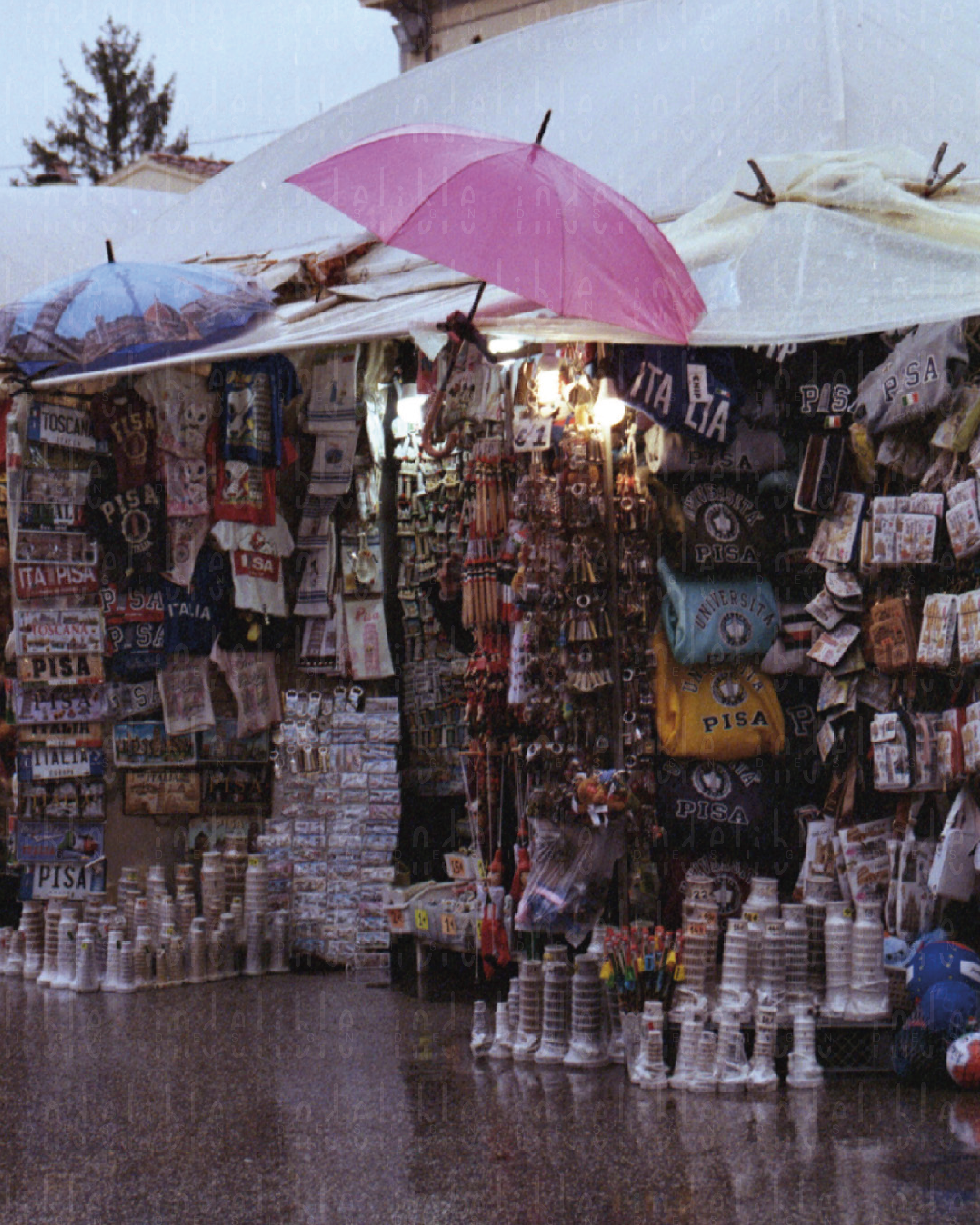 Kunstdruck Analog Foto ,,Regali di Pisa""