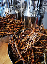 IMG_20260411_120212 (1)short.jpg