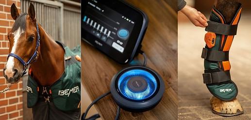 Design ohne Titel (11).jpg