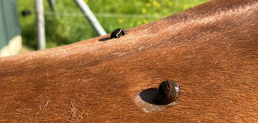 IMG-20250508-WA0003 (1)_edited.jpg