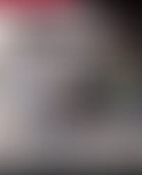 International Law Social: Wednesday November 15, 2023, 5:00-7:30pm in Ottawa