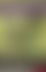 SÉRIE DE CONFÉRENCES EN DROIT INTERNATIONAL