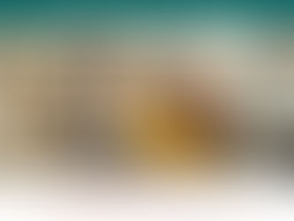 Information Webinar on the Humphrey Fellowships - Thursday December 4, 2025