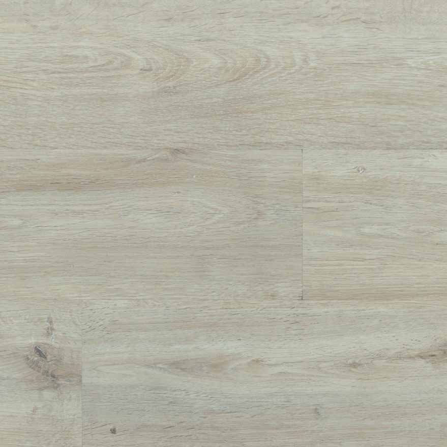 Thumbnail: CLASSICO CLIO 2