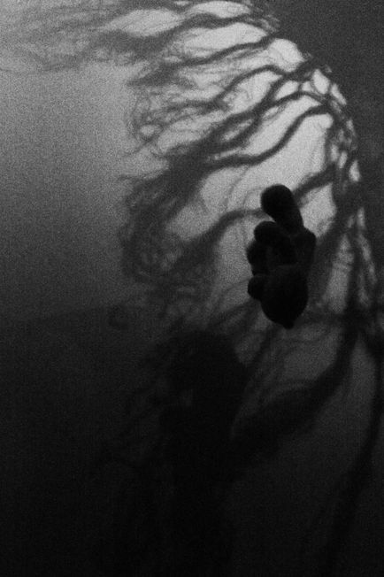 Κωνσταντινα2