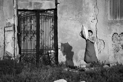 Ιάσωνας Χαλκιαδάκης 