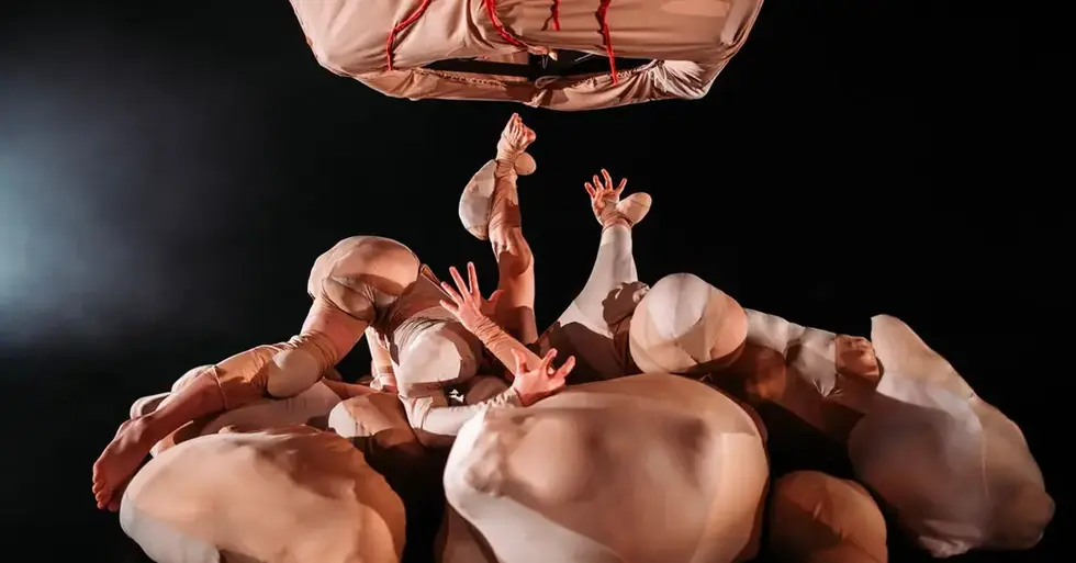 Dysmorphic, 2022
