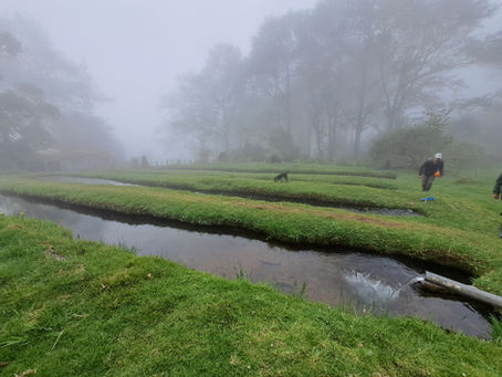 The beginning of frosty mornings at Cuerici biological station