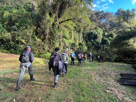 Last day in CuericÃ