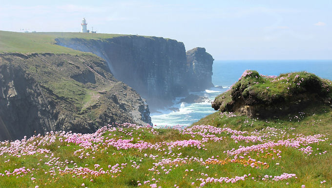 IRELAND'S IRISH GOLD