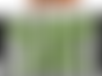 Infos zum Ganoven Fest - Double Feature