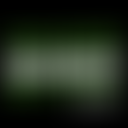 Exklusives Material @Steady