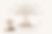 Baum.png