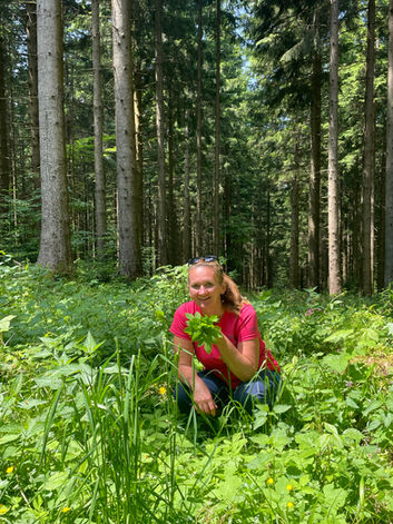 Regina Ofner pflückt gesunden Giersch 