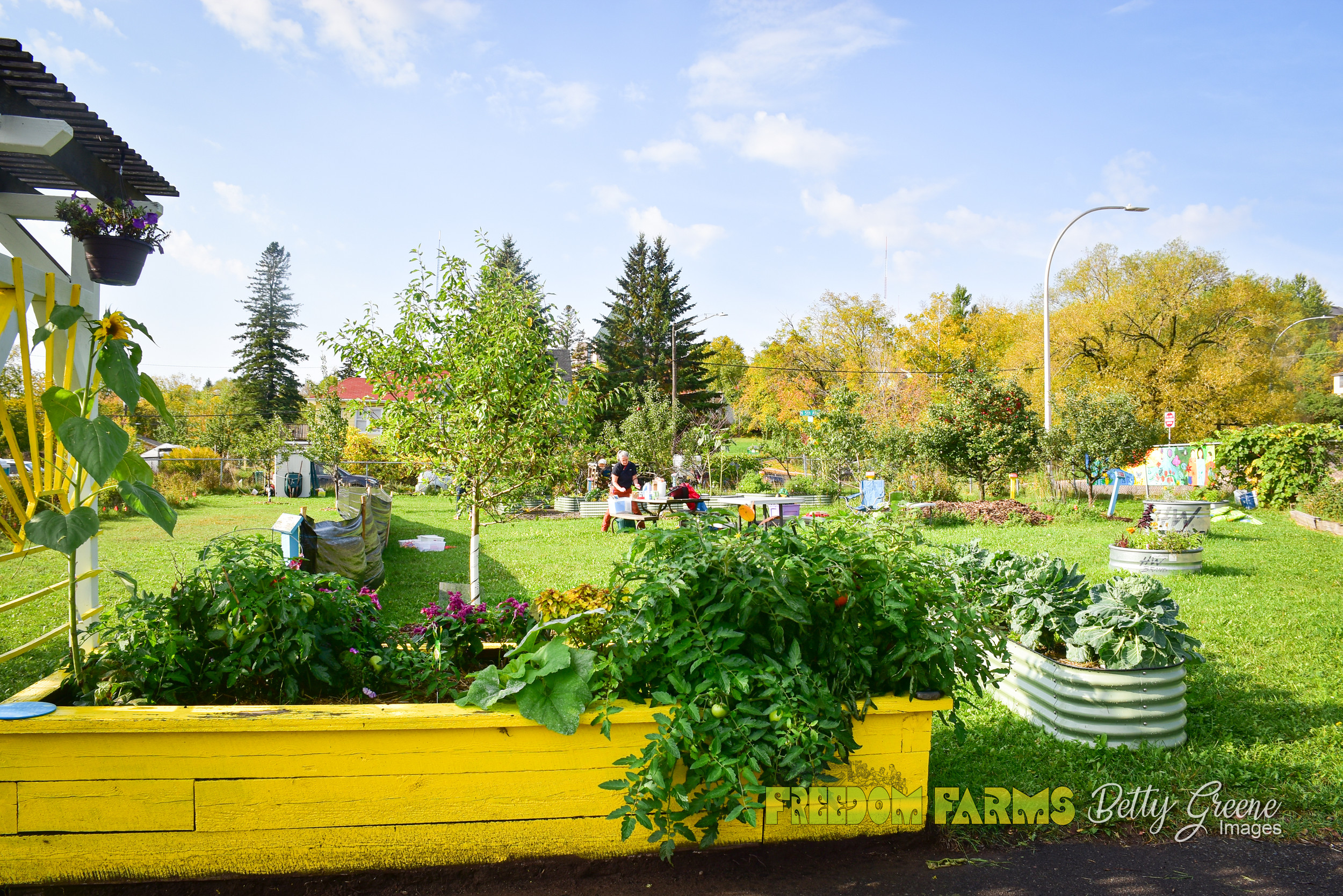 Freedom Farms FamilyFreedomCenter