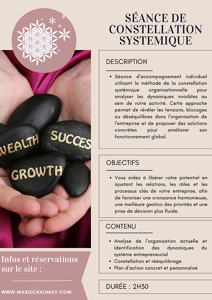 constellation systémique en entreprise