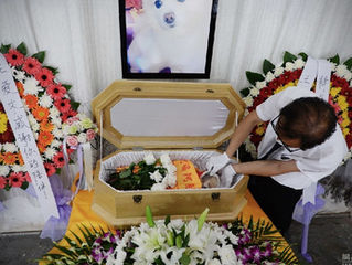 上海现豪华宠物葬礼：开追悼会 百万豪车送行