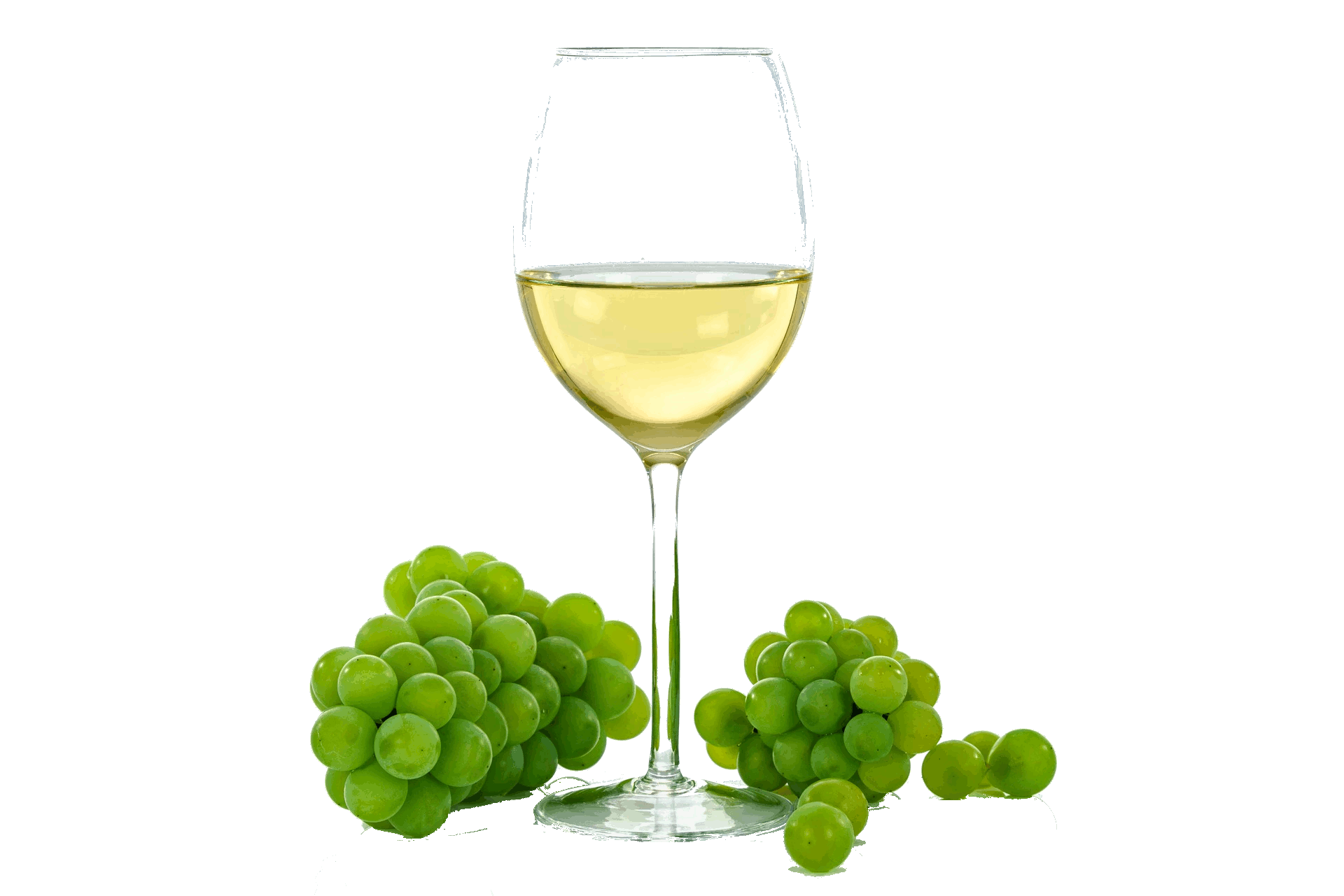 wine gif.gif