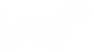 dog daycare nanaimo, doggy daycare, doggie daycare, dog walking nanaimo, holistic dog care, natural dog care, daycare for dogs nanaimo