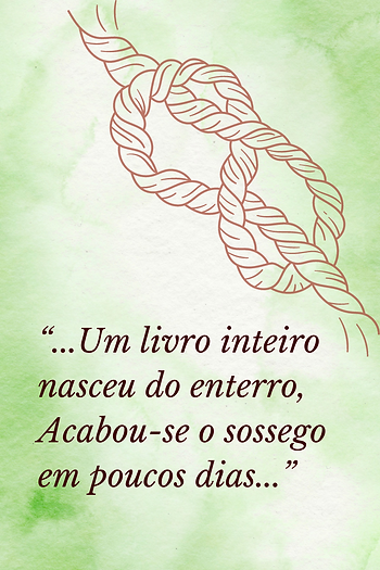 um trecho do poema da escritora flor priscila