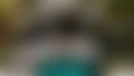 Lua de Mel Sem Estresse: Do Planejamento à Viagem