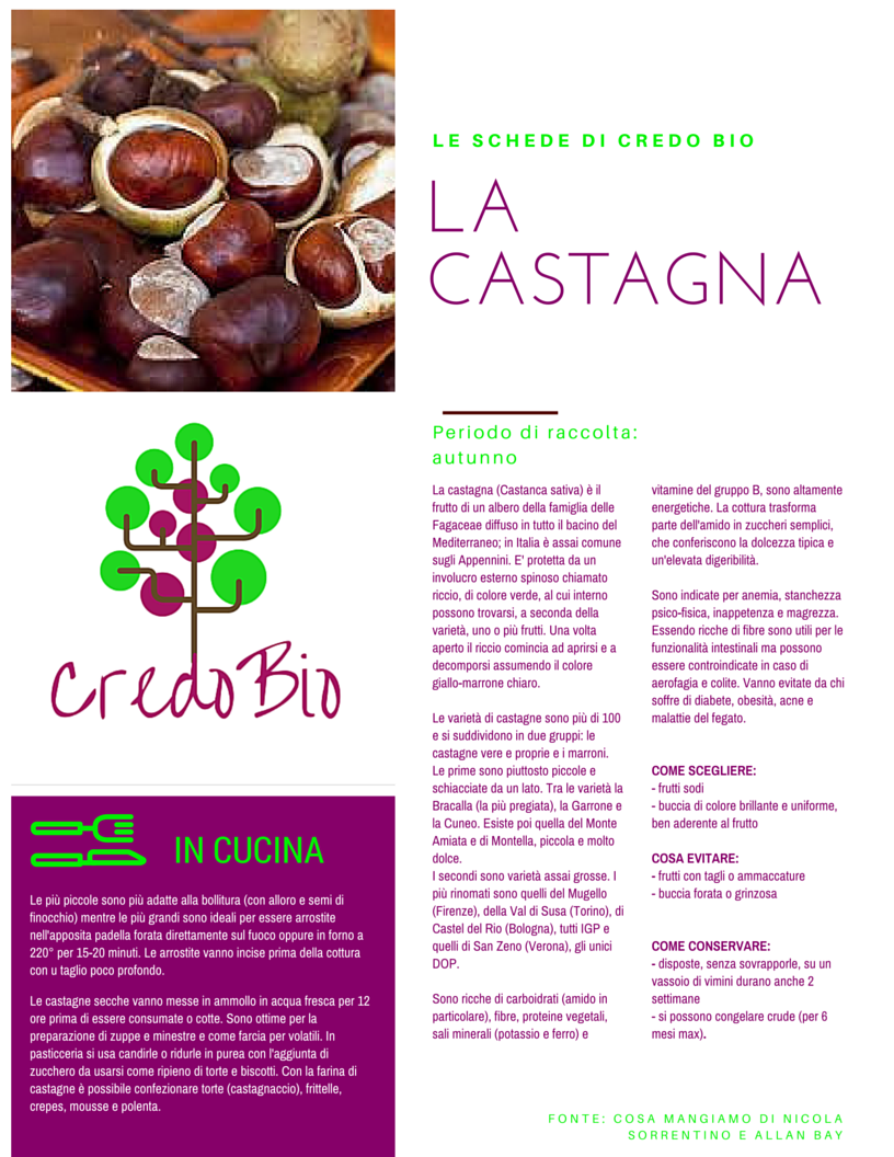 Credo Bio Archivioschede