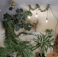 Christina Marie Intimate Portraits - Shelburne, Ontario - Boudoir