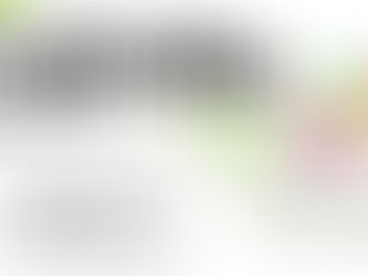 PROJETO FAMÍLIA INTEGRADA PROMOVE MANHÃ ESPORTIVA NO DIA 31 DE AGOSTO