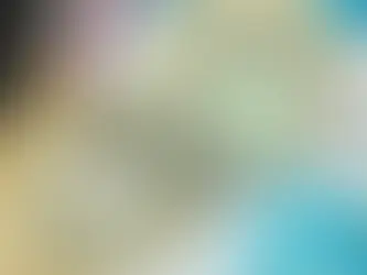 Dólar cai a R$ 6,04 com leilões do BC e votação do pacote fiscal. Banco Central vendeu US$ 7 bilhões em leilões extras nesta sexta-feira (20); Congresso conclui tramitação do pacote de Haddad