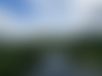 Espírito Santo reduz em 60% taxa de desmatamento em 2024