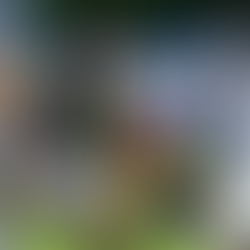 Edital traz regras para uso de imagens do Capixabão geradas pela TVE