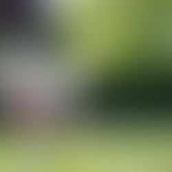 Feel-Good Workington: Mental Health & Well-being Activities to Try This Summer