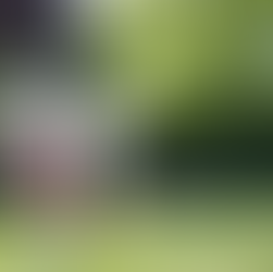 Feel-Good Workington: Mental Health & Well-being Activities to Try This Summer