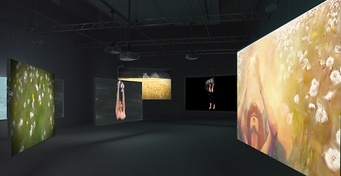 mockup-dandelion-installation.png