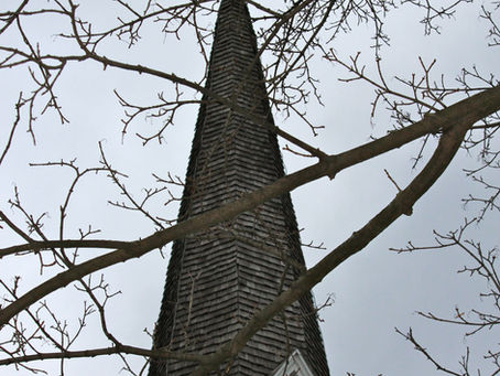 Corona Virus 3-14-20