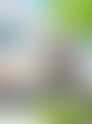 207 Mount Evans Drive. Durham. Sold $245,000