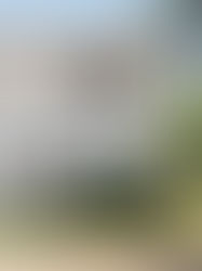 1034 Nottingham Court. Cary NC. Sold $170,000