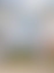 44 Pocono Drive, Durham. List Price $245,000. Sold Price $255,000.