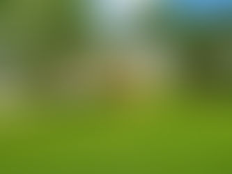 Updated Home in Preston Oaks
