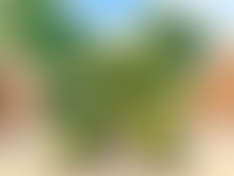 5913 Suncreek Court, Raleigh NC 27606 | Sold